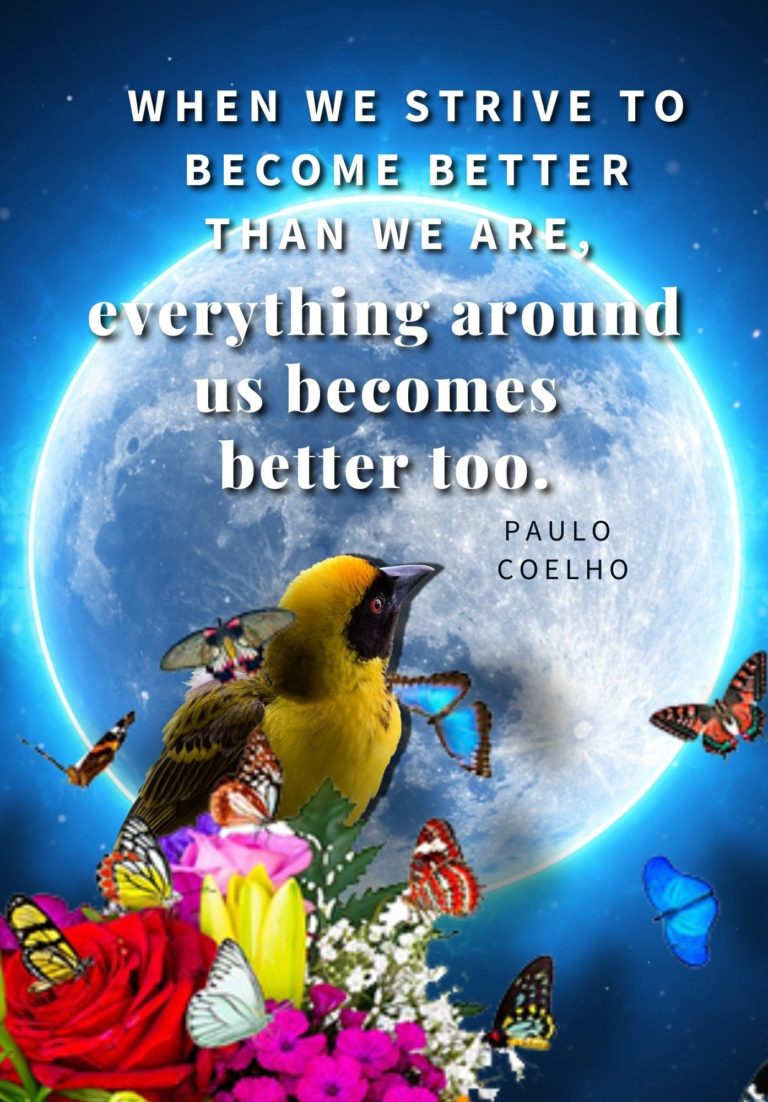 Quote by Paulo Coelho Free Printable Sized for Filofax and A5 Notebooks