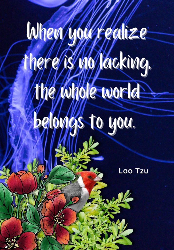 Lao Tzu Printable Quote Sized for A5 Notebooks Journals and Filofax