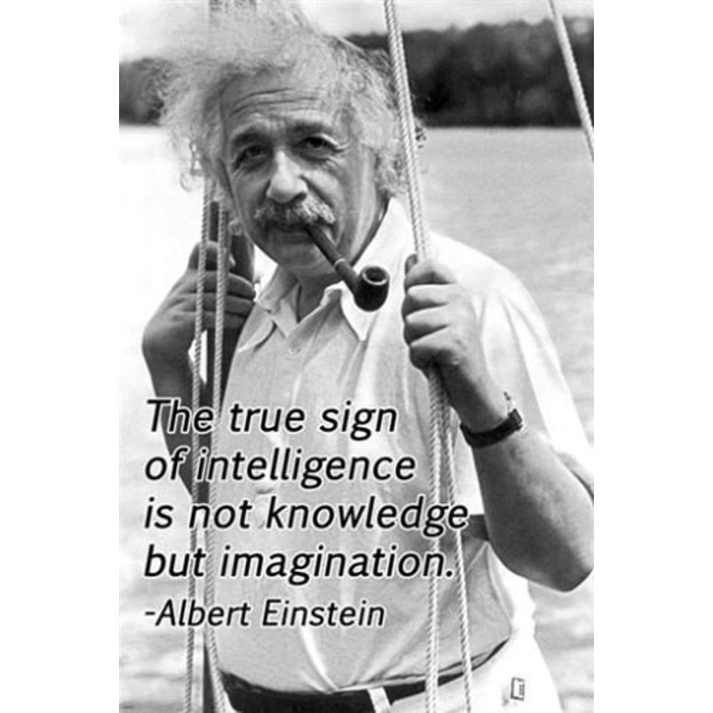 Albert Einstein Inspirational Poster