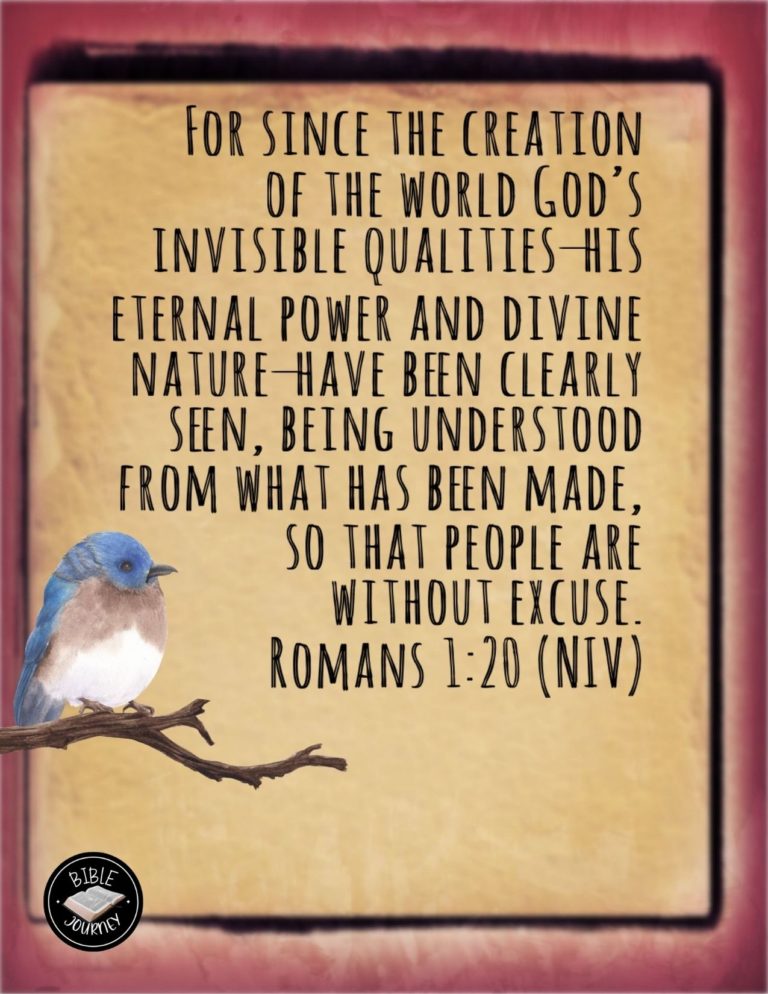 Romans 1:20 NIV - For since the creation of the world God's invisible qualities—his eternal power and divine nature—have been clearly seen, being understood from what has been made, so that people are without excuse.