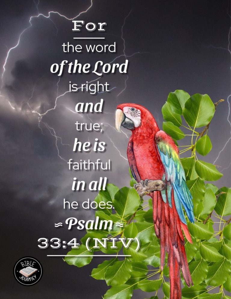 Psalm 33:4 NIV - For the word of the LORD is right and true; he is faithful in all he does.