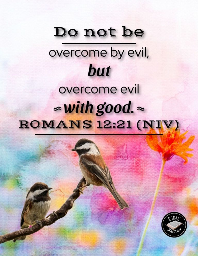 Romans 12:21 NIV - Do not be overcome by evil, but overcome evil with good.