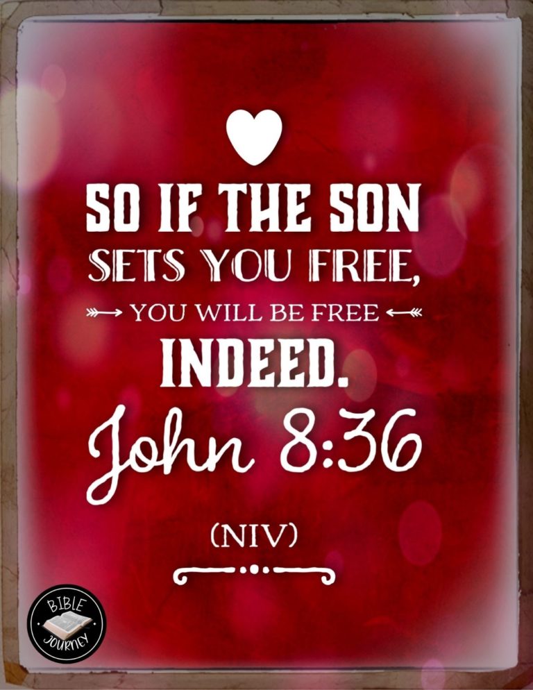 John 8:36 NIV - So if the Son sets you free, you will be free indeed.