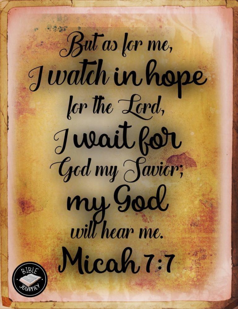 Micah 7:7 NIV - But as for me, I watch in hope for the LORD, I wait for God my Savior; my God will hear me.