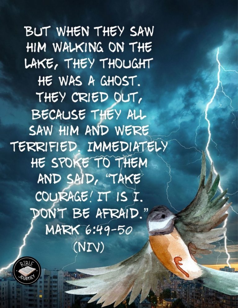 Mark 6:49-50 NIV - but when they saw him walking on the lake, they thought he was a ghost. They cried out, because they all saw him and were terrified. Immediately he spoke to them and said, "Take courage! It is I. Don't be afraid."