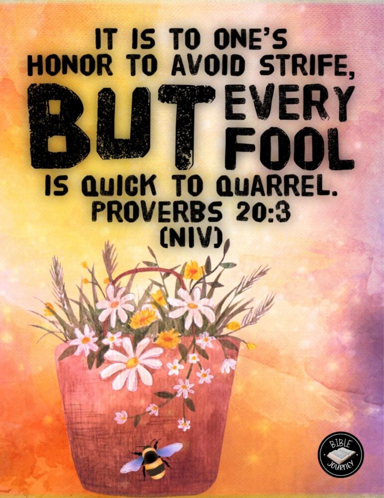 Proverbs 20:3 NIV - It is to one's honor to avoid strife, but every fool is quick to quarrel.