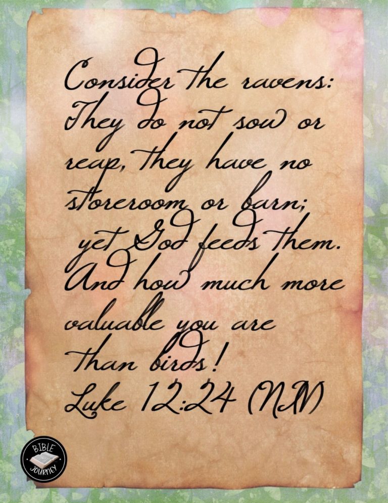 Luke 12:24 NIV - Consider the ravens: They do not sow or reap, they have no storeroom or barn; yet God feeds them. And how much more valuable you are than birds!