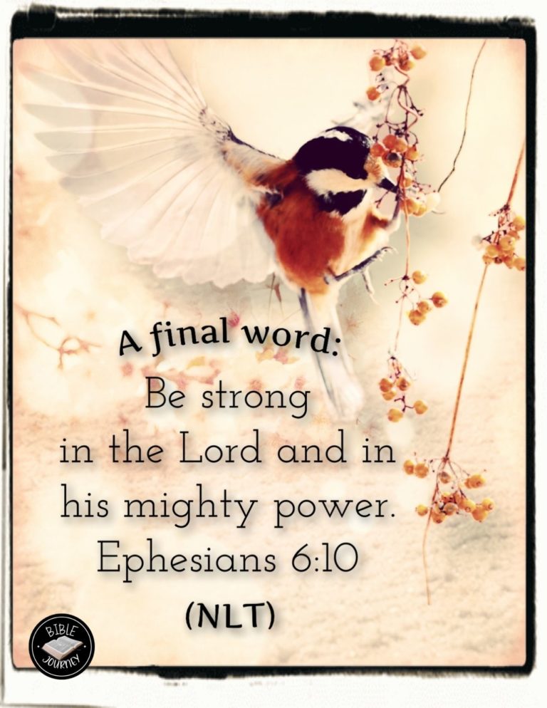 Ephesians 6:10 NLT - A final word: Be strong in the Lord and in his mighty power.