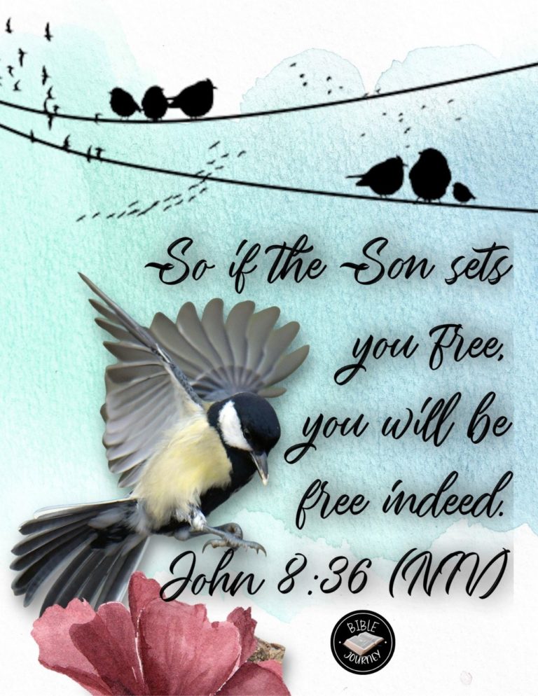 John 8:36 NIV - So if the Son sets you free, you will be free indeed.