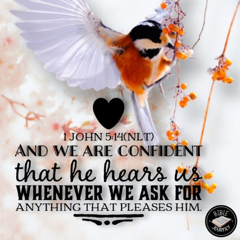 1 John 5:14 NLT - And we are confident that he hears us whenever we ask for anything that pleases him.