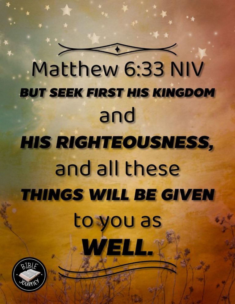 Matthew 6:33 NIV - But seek first his kingdom and his righteousness, and all these things will be given to you as well.