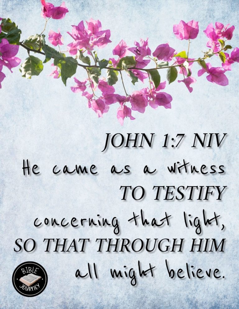 John 1:7 NIV - He came as a witness to testify concerning that light, so that through him all might believe.