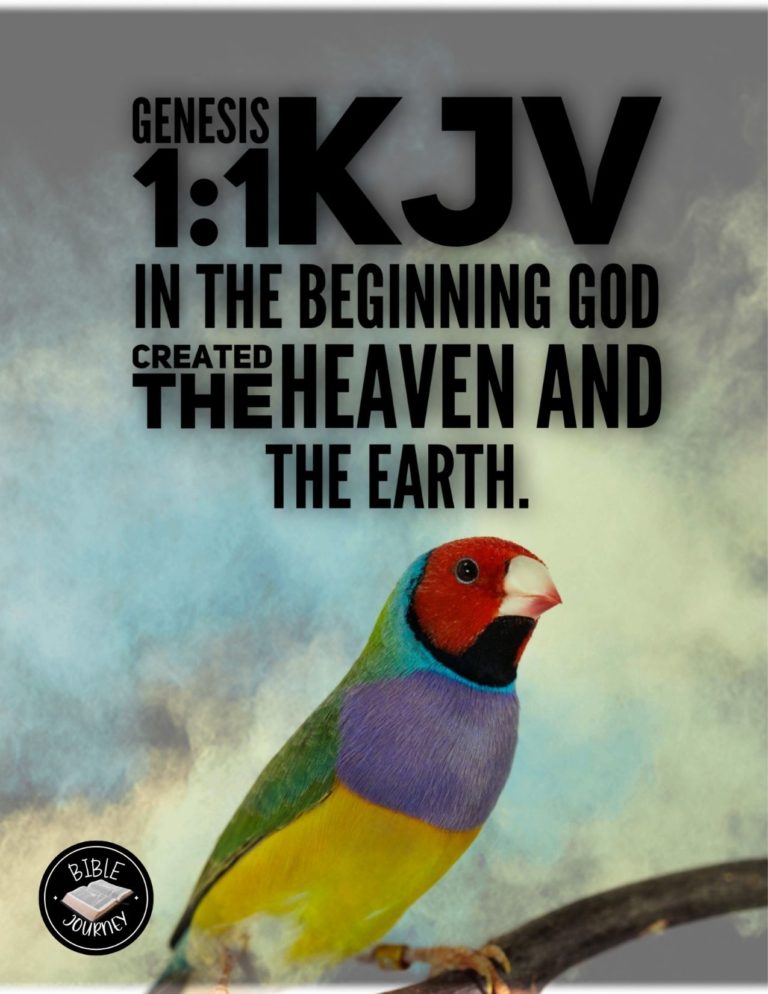 Genesis 1:1 KJV - In the beginning God created the heaven and the earth.