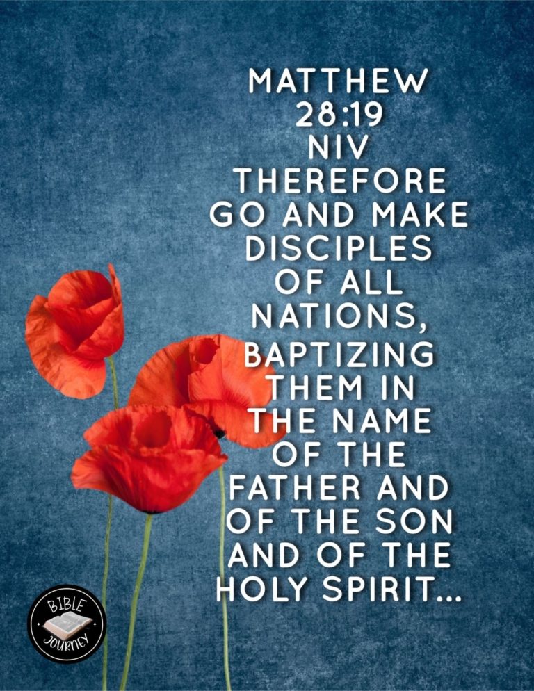 Matthew 28:19 NIV - Therefore go and make disciples of all nations, baptizing them in the name of the Father and of the Son and of the Holy Spirit,