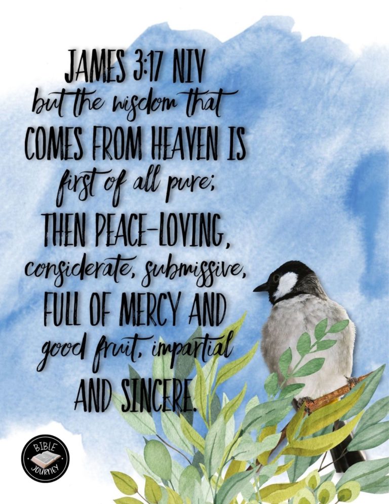 James 3:17 NIV - But the wisdom that comes from heaven is first of all pure; then peace-loving, considerate, submissive, full of mercy and good fruit, impartial and sincere.