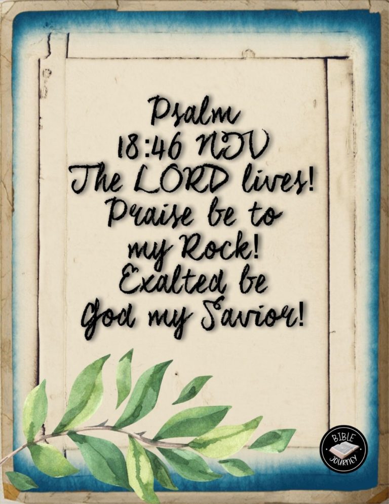 Psalm 18:46 NIV - The LORD lives! Praise be to my Rock! Exalted be God my Savior!