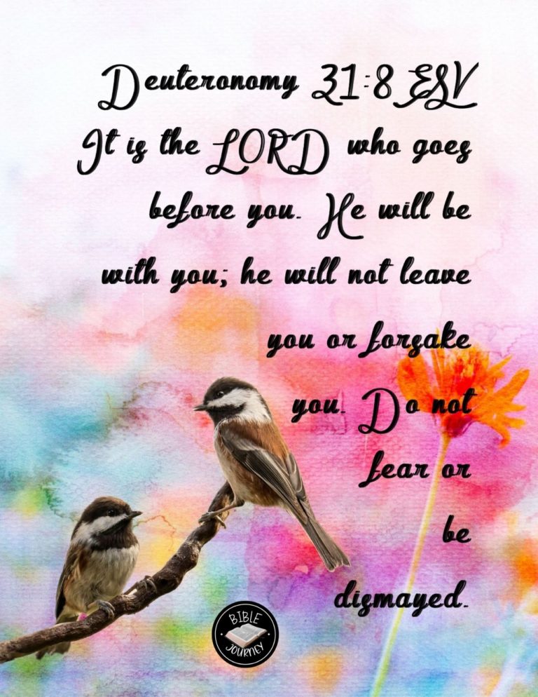 Deuteronomy 31:8 ESV - It is the LORD who goes before you. He will be with you; he will not leave you or forsake you. Do not fear or be dismayed."