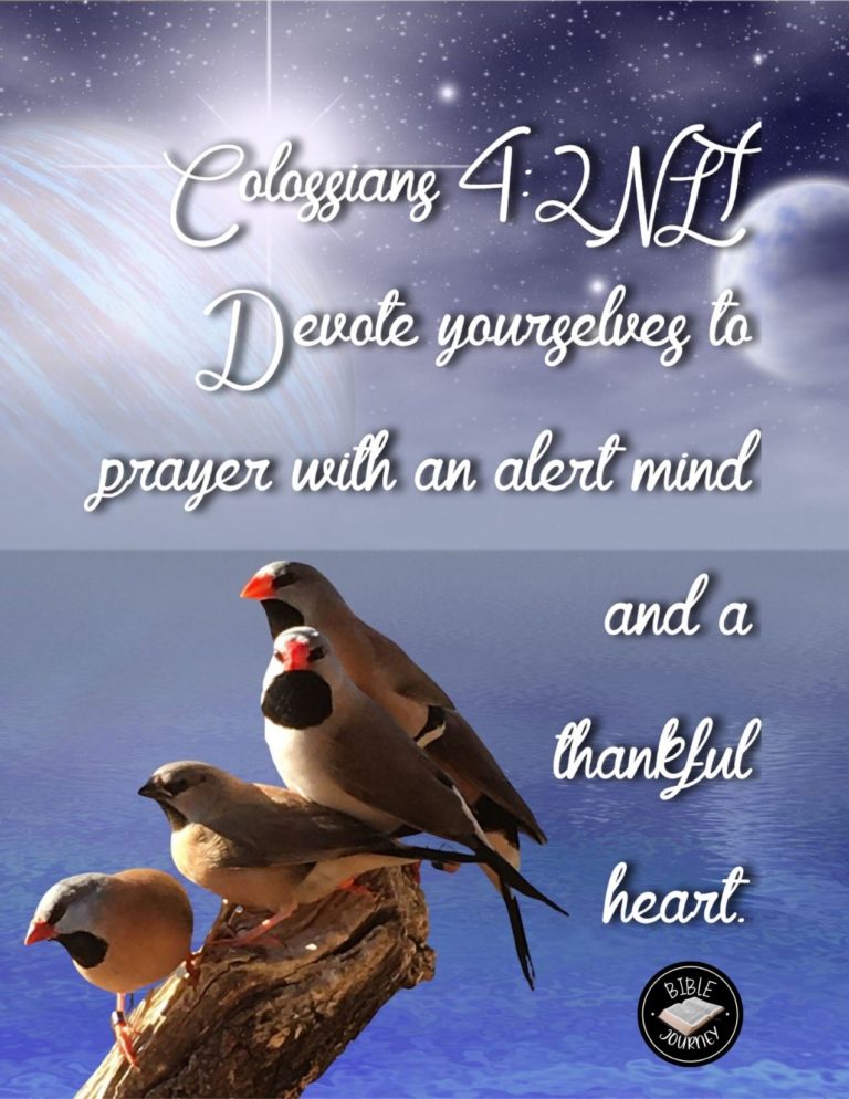 Colossians 4:2 NLT - [2] Devote yourselves to prayer with an alert mind and a thankful heart.