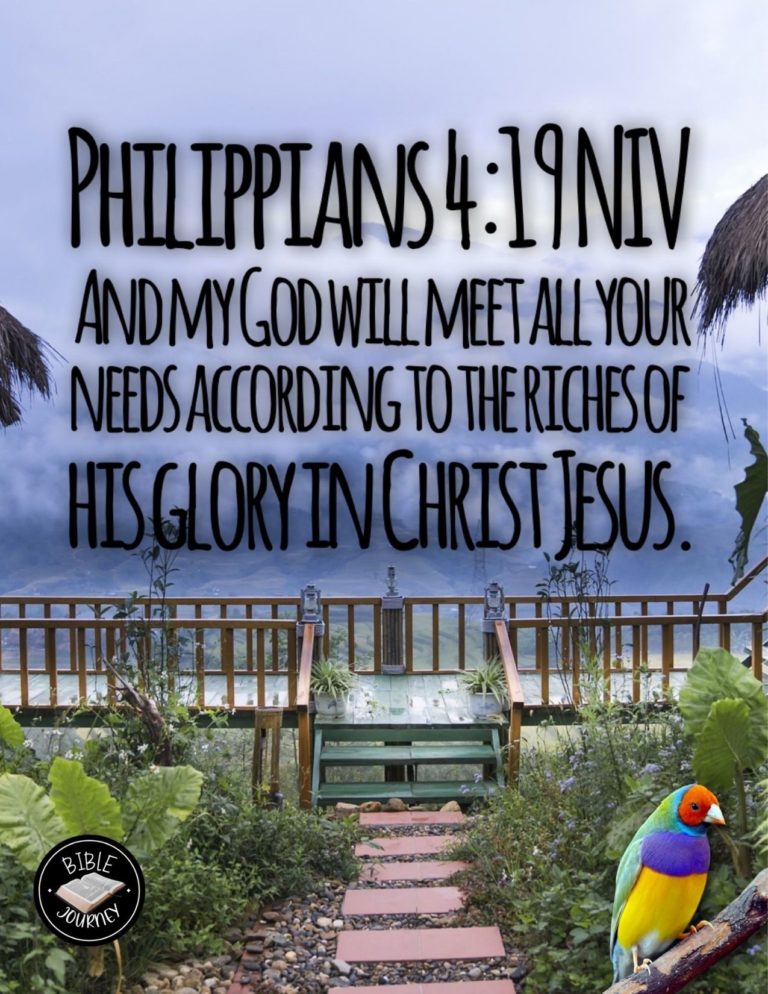 Philippians 4:19 NIV - And my God will meet all your needs according to the riches of his glory in Christ Jesus.