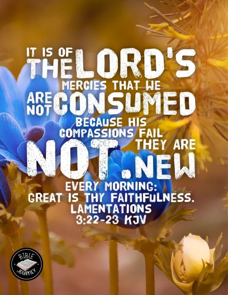 Lamentations 3:22-23 KJV - It is of the LORD'S mercies that we are not consumed, because his compassions fail not. They are new every morning: great is thy faithfulness.