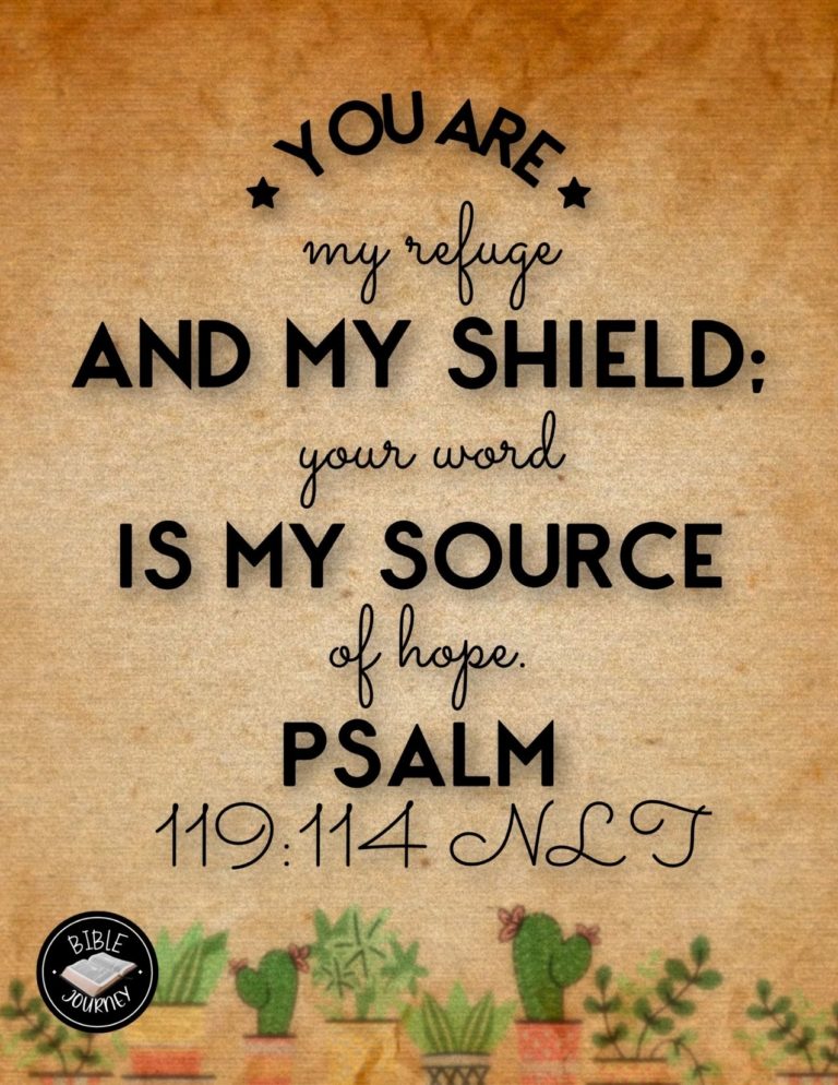 Psalm 119:114 NLT - You are my refuge and my shield; your word is my source of hope.