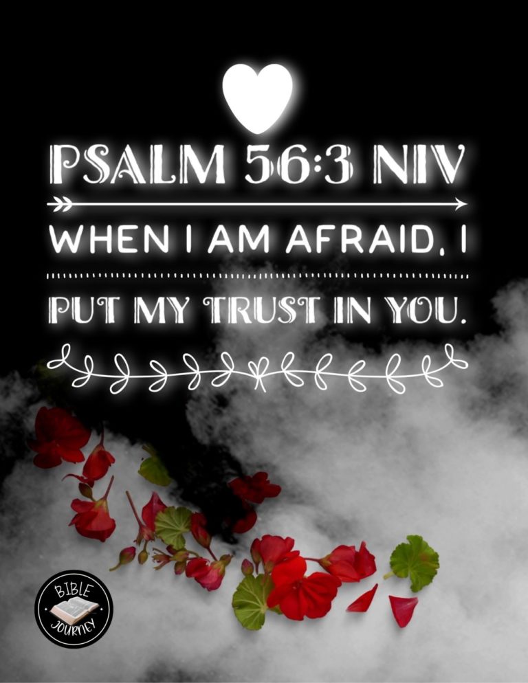 Psalm 56:3 NIV - When I am afraid, I put my trust in you.