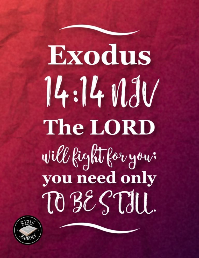 Exodus 14:14 NIV - The LORD will fight for you; you need only to be still.