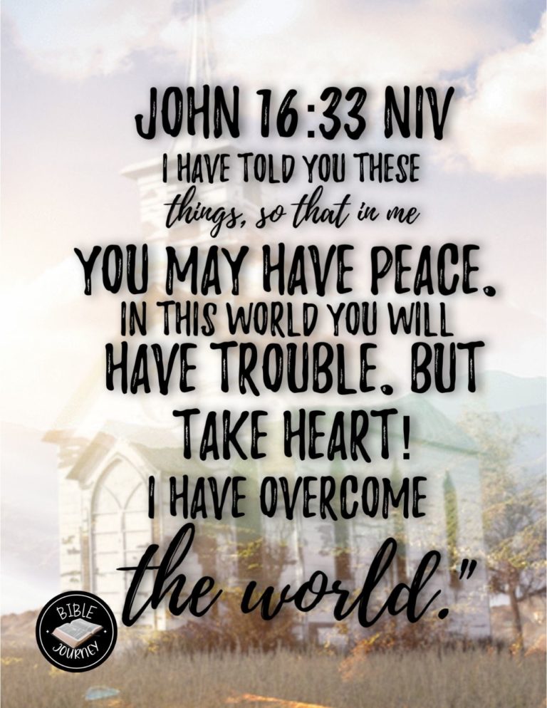 John 16:33 NIV - ""I have told you these things, so that in me you may have peace. In this world you will have trouble. But take heart! I have overcome the world.""