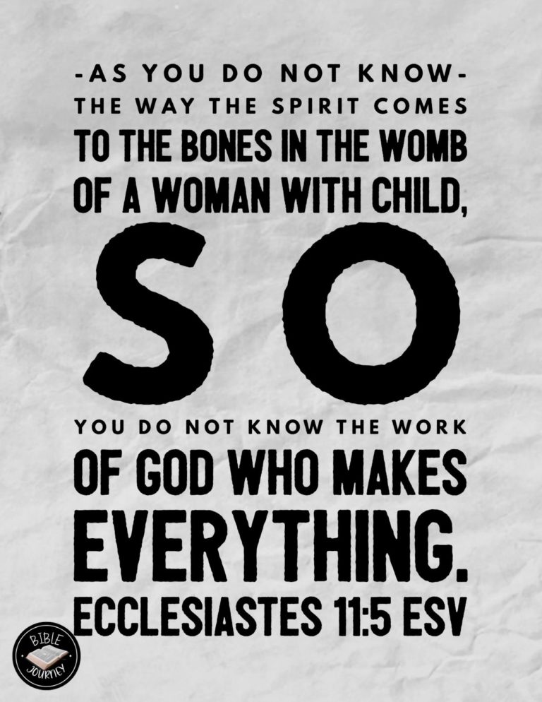 Ecclesiastes 11:5 ESV - As you do not know the way the spirit comes to the bones in the womb of a woman with child, so you do not know the work of God who makes everything.