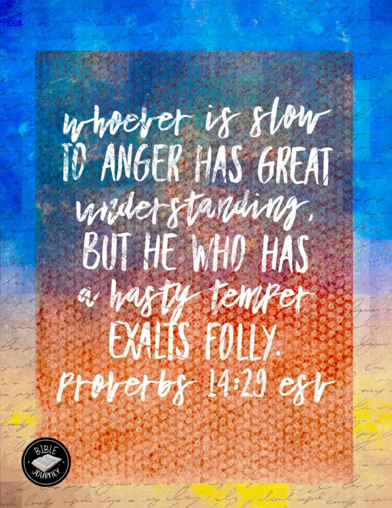 Proverbs 14:29 ESV - Whoever is slow to anger has great understanding, but he who has a hasty temper exalts folly.