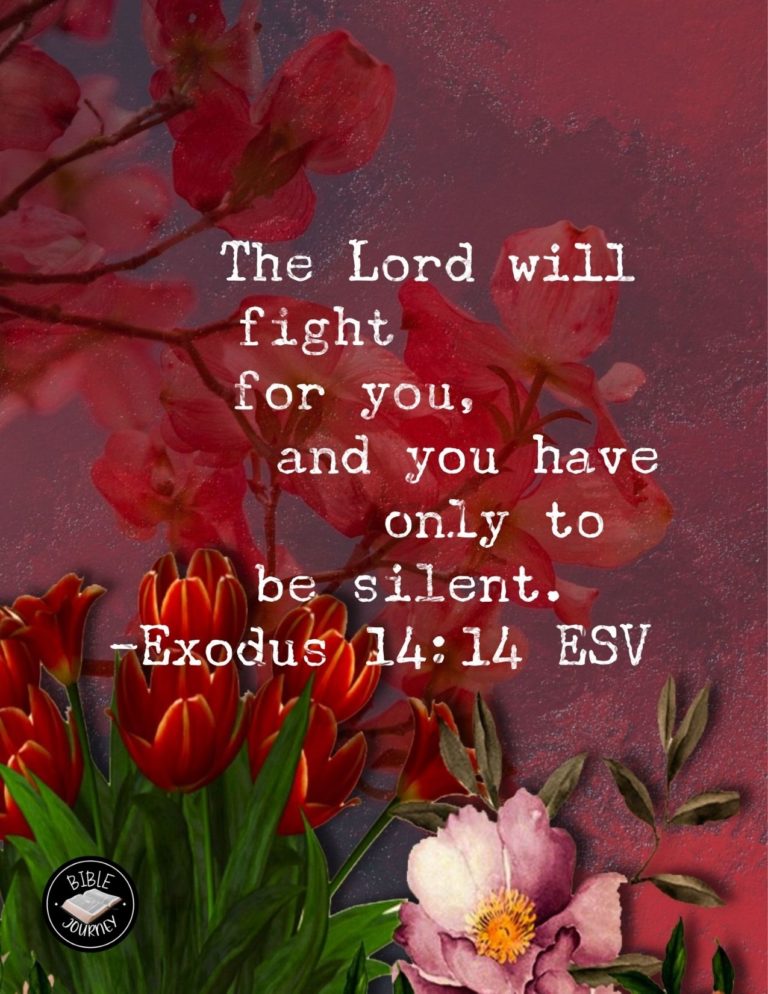 Exodus 14:14 ESV - The LORD will fight for you, and you have only to be silent."