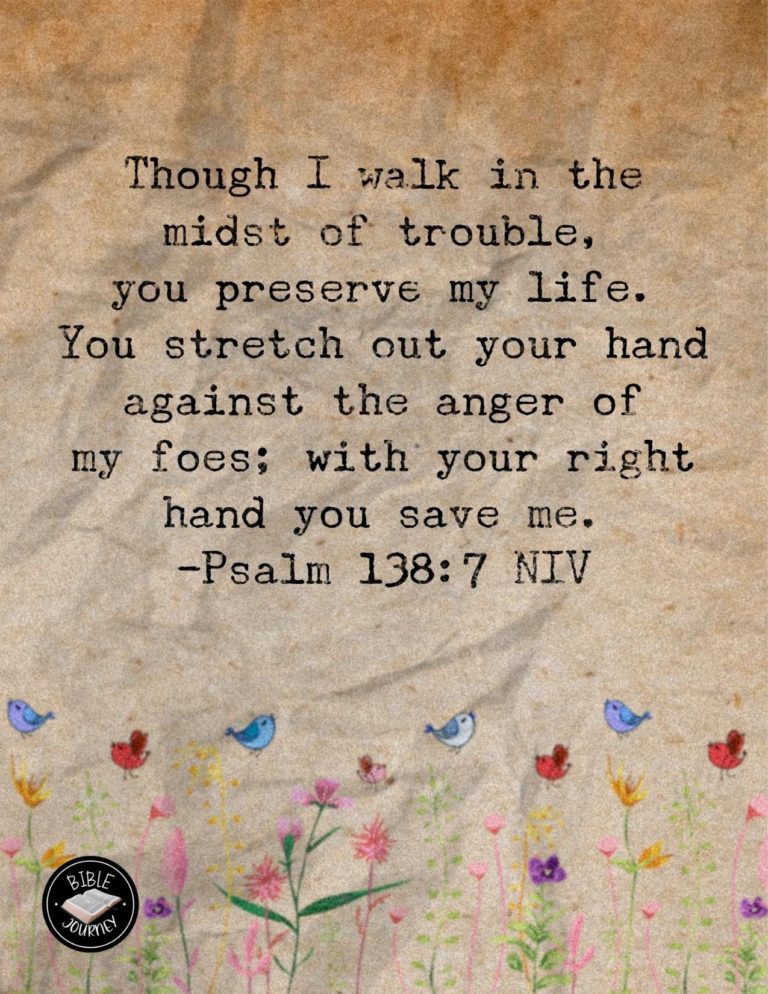 Psalm 138:7 NIV - Though I walk in the midst of trouble, you preserve my life. You stretch out your hand against the anger of my foes; with your right hand you save me.