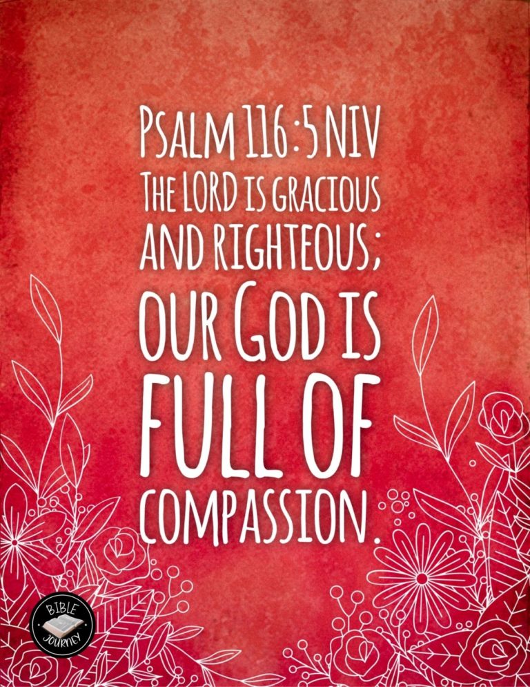 Psalm 116:5 NIV - The LORD is gracious and righteous; our God is full of compassion.