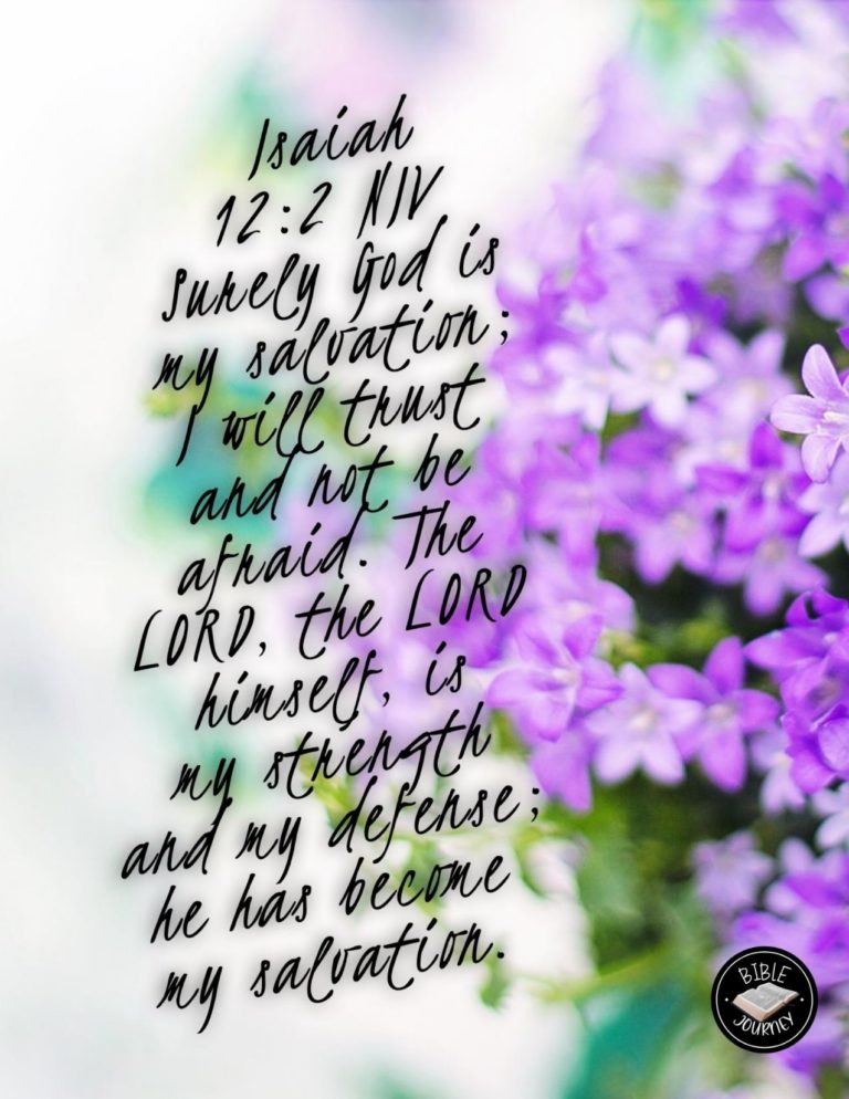 Isaiah 12:2 NIV - Surely God is my salvation; I will trust and not be afraid. The LORD, the LORD himself, is my strength and my defense; he has become my salvation."