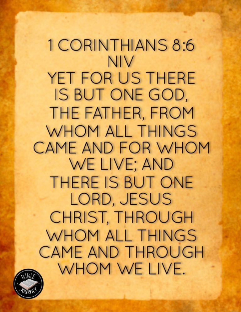 1 Corinthians 8:6 NIV - yet for us there is but one God, the Father, from whom all things came and for whom we live; and there is but one Lord, Jesus Christ, through whom all things came and through whom we live.