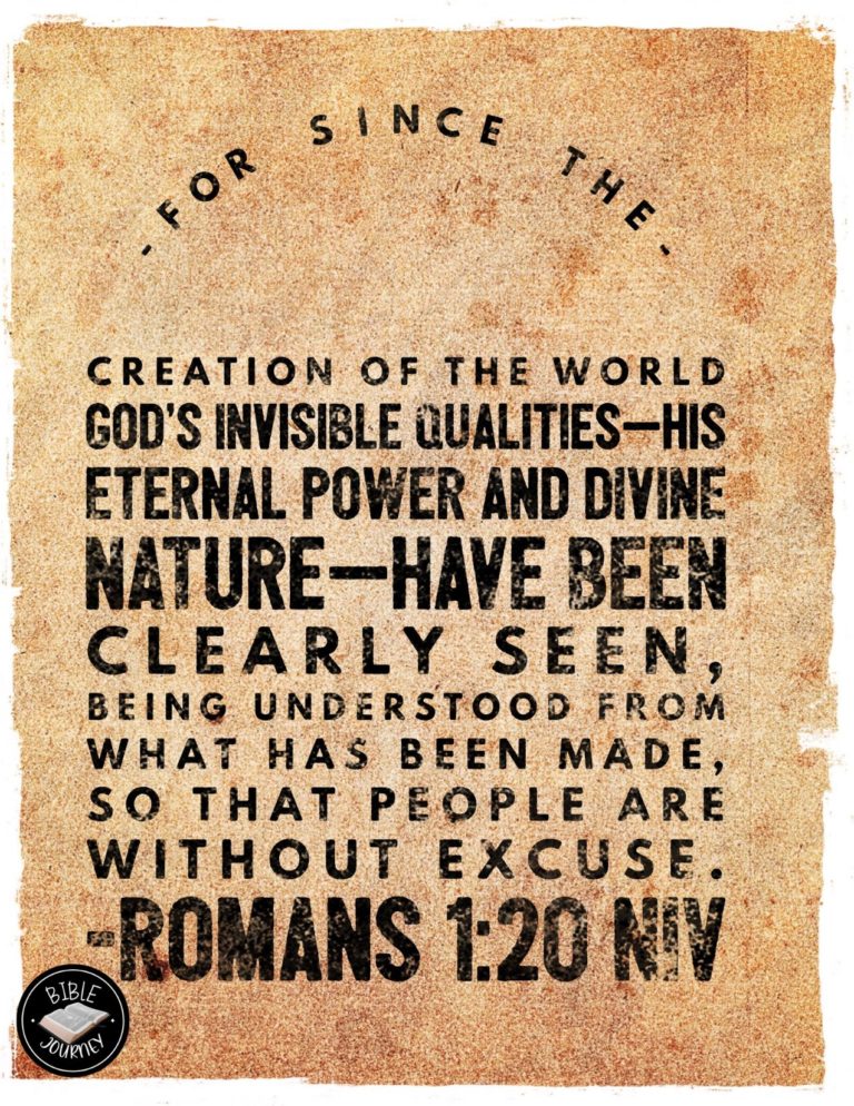 Romans 1:20 NIV - For since the creation of the world God's invisible qualities--his eternal power and divine nature--have been clearly seen, being understood from what has been made, so that people are without excuse.